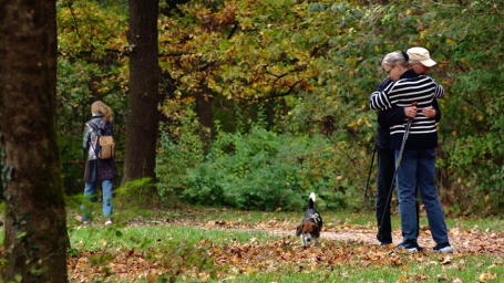 "Herbst" | Director of Photography