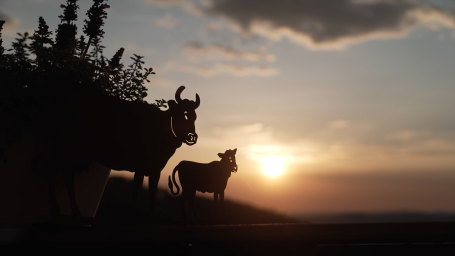 "Zwischen Himmel und Tal" | Director of Photography