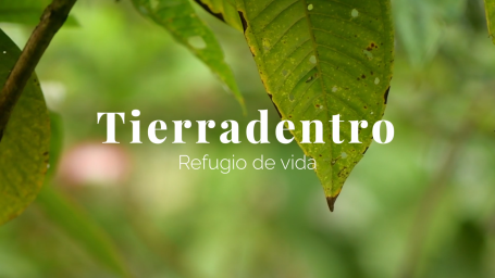 Tierradentro, refugio de vida