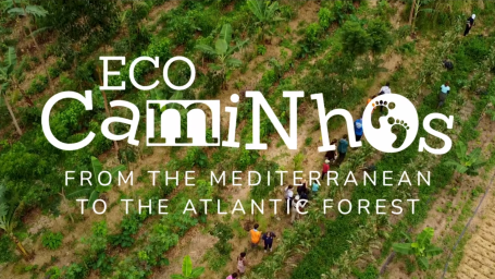 From the Mediterranean to the Atlantic Forest